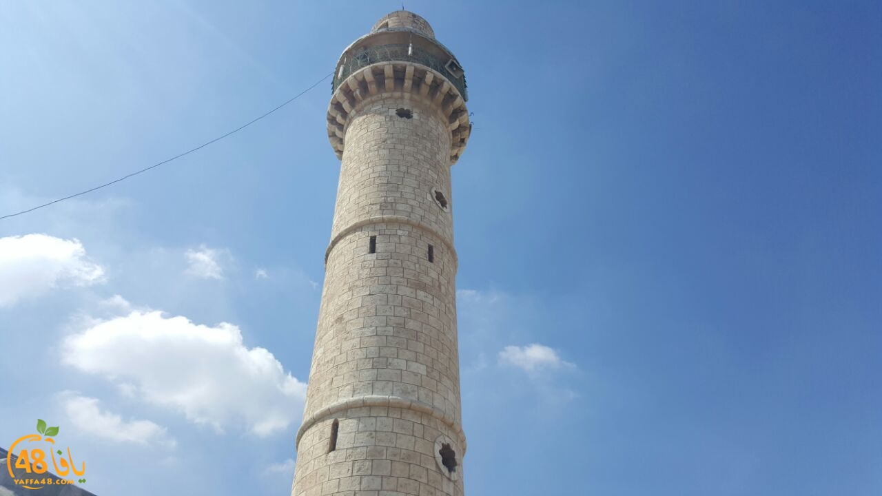 alra mlaj3 foremq (7).jpg